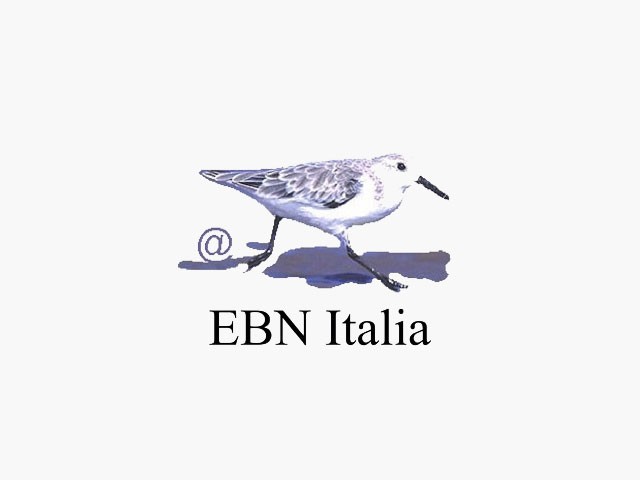 Benvenuti in EBN Italia - Birdwatching in Italia