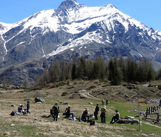 XXIX meeting 2019 Valle d’Aosta