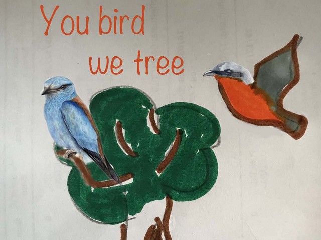 You bird, we tree 2019