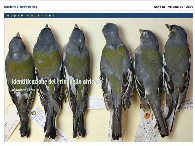 ESSENZIALE di Quaderni di birdwatching 2009