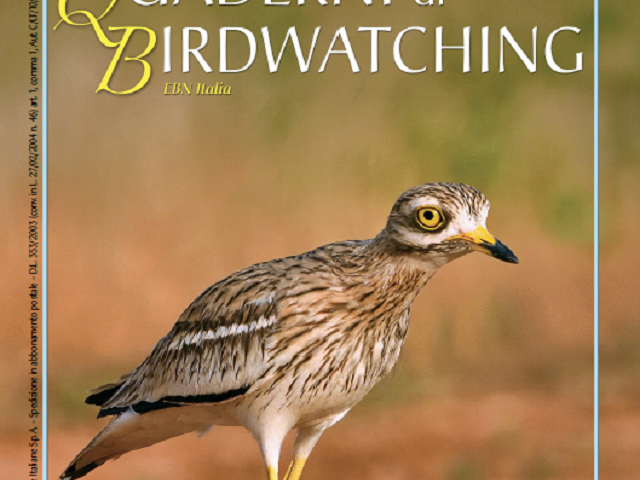 Quaderni di birdwatching