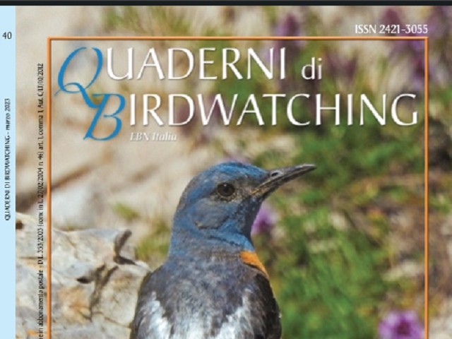 Quaderni di birdwatching