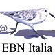Benvenuti in EBN Italia